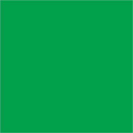 Filc lap 1 mm vastag 30cm x 20cm középzöld
