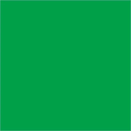 Filc lap 1 mm vastag 30cm x 20cm középzöld