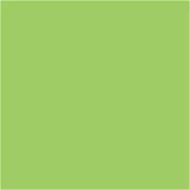Filc lap 50 x 40 cm 3mm vastag világoszöld