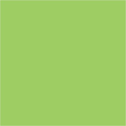 Filc lap 50 x 40 cm 3mm vastag világoszöld