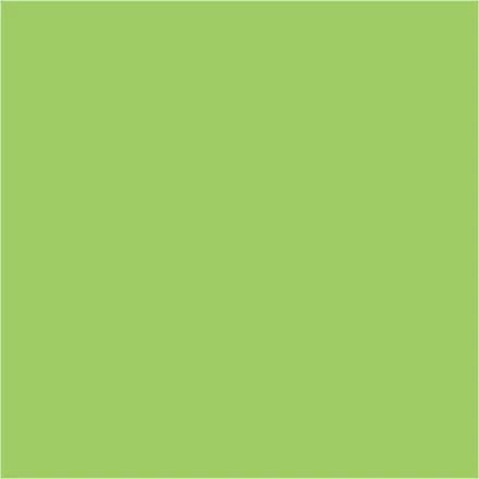 Filc lap 50 x 40 cm 3mm vastag világoszöld
