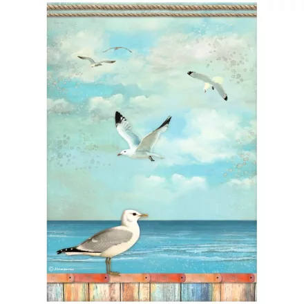 A4 rizspapír csom. - Blue Dream seagulls
