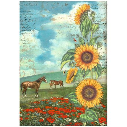A4 rizspapír, csom. - Sunflower Art and horses