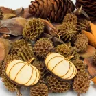 Természetjáró gyűjtemény terméscsomag natúr