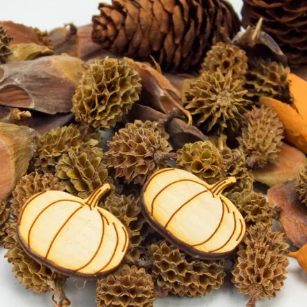 Természetjáró gyűjtemény terméscsomag natúr