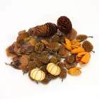 Természetjáró gyűjtemény terméscsomag natúr