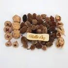 Természetjáró gyűjtemény terméscsomag cappuccino