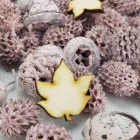 Természetjáró gyűjtemény terméscsomag rózsaszín