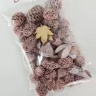 Természetjáró gyűjtemény terméscsomag rózsaszín