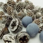 Vándor terméscsomag szürke