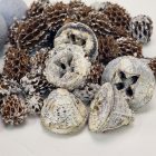 Vándor terméscsomag szürke