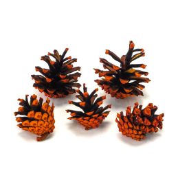 Barna toboz 5db/cs. (4-8cm) Barna toboz 5db/cs. (4-8cm)