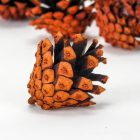 Barna toboz 5db/cs. (4-8cm)