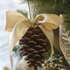 Barna toboz 5db/cs. (4-8cm)