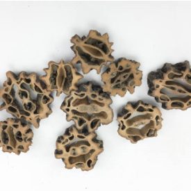 Dió termés barna 10db/csomag