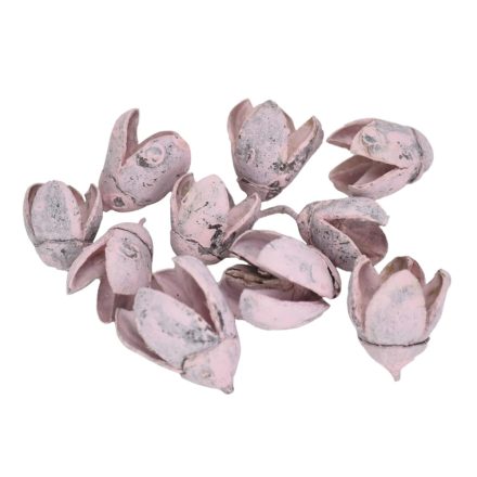 Bakuli termés rózsaszín 1,5-3cm 10db/csomag