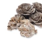 Cédrus rózsa vintage 8db/csomag