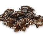 Cédrus rózsa havas 8db/csomag