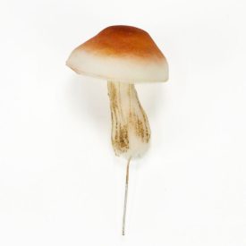 Gomba habból barna-krém kalappal 7cm x 5,5cm Gomba habból barna-krém kalappal 7cm x 5,5cm