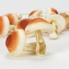 Gomba habból barna-krém kalappal 7cm x 5,5cm