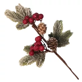 Tobozos bogyós pick