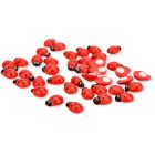 Öntapadós katica közepes 36db/csomag