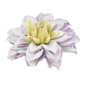 Bimbós dália fej 8,5cm - halvány lila Bimbós dália fej 8,5cm - halvány lila