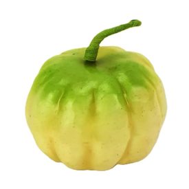 Tök 4,5cm x 3cm krém színű Tök 4,5cm x 3cm krém színű