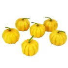 Tök 4,5cm x 3cm sárga színű