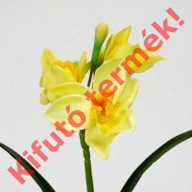 Nárcisz szálas 3 fejes krémsárga Nárcisz szálas 3 fejes krémsárga