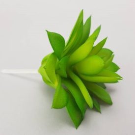 Pozsgás műnövény 6cm x 10,5cm Pozsgás műnövény 6cm x 10,5cm