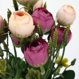 Begónia csokor mályva-púder Begónia csokor mályva-púder