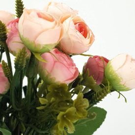 Begónia csokor rózsaszín Begónia csokor rózsaszín