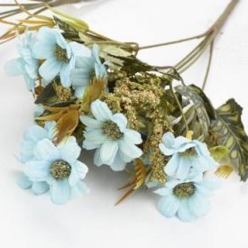 Cosmos csokor kék Cosmos csokor kék