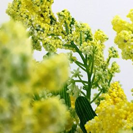 Bogyós csokor sárga 1db Bogyós csokor sárga 1db