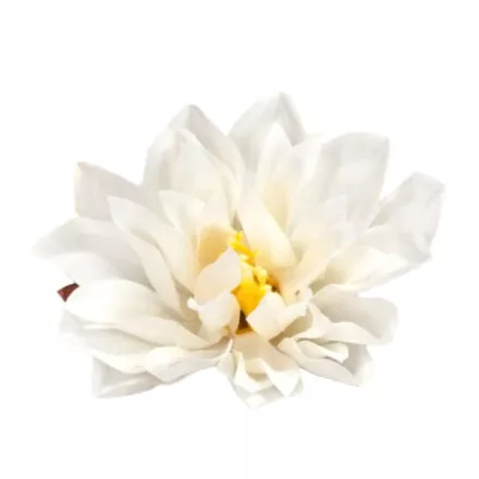Kerti dália fej fehér 7-8cm 