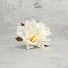 Kerti dália fej fehér 7-8cm 