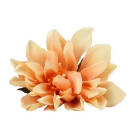 Kerti dália fej púder 7-8cm 