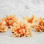 Kerti dália fej púder 7-8cm 