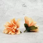 Kerti dália fej púder 7-8cm 