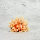 Kerti dália fej púder 7-8cm 