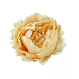 Bazsarózsa fej barack 12cm