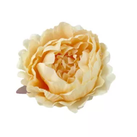 Bazsarózsa fej púder 12cm