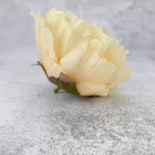 Bazsarózsa fej púder 12cm