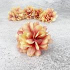 Kerti szegfű 4,5cm cirmos púder