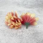 Kerti szegfű 4,5cm cirmos púder