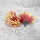 Kerti szegfű 4,5cm cirmos púder