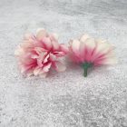 Kerti szegfű 4,5cm cirmos rózsaszín