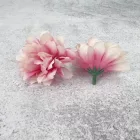 Kerti szegfű 4,5cm cirmos rózsaszín