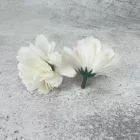 Kerti szegfű 4,5cm fehér